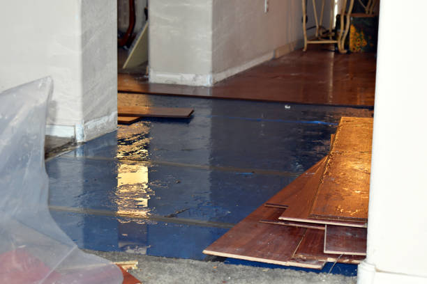 Professional Flood Cleanup technician working in Roxbury, ME